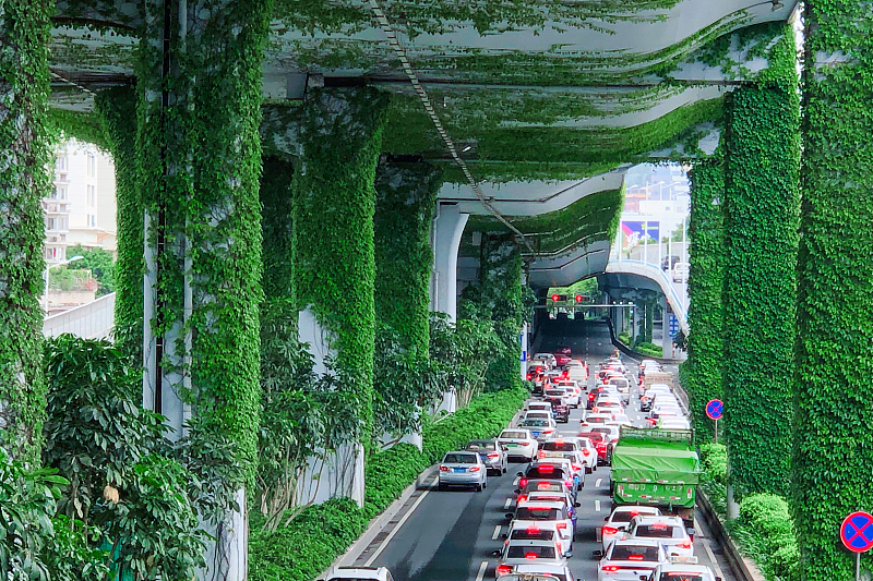 ?? ????? ??????? ???????.. ???? ???