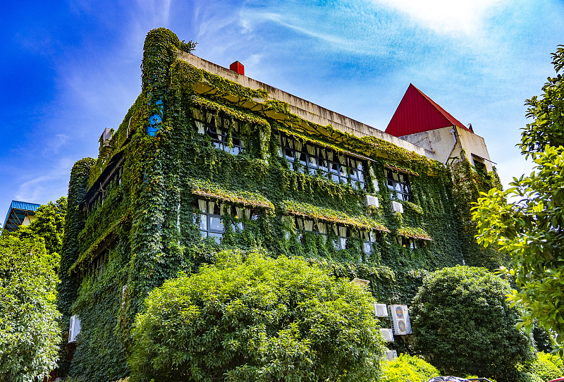 ?? ????? ??????? ???????.. ???? ???