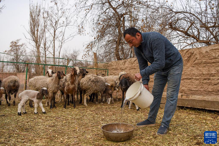 ??????? ??????? ?? ??????? ???? ??? ???? ??????? ?????? ??? ????