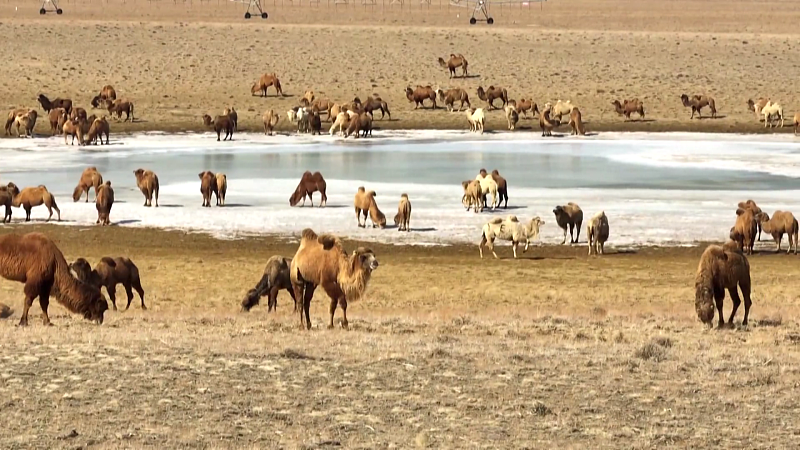  ????? ????? ?? ????????? ???? ???? ????? ???? ?????? ????? ??? ?????????