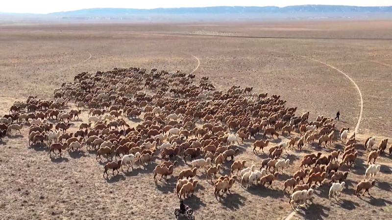 ????? ????? ?? ????????? ???? ???? ????? ???? ?????? ????? ??? ?????????