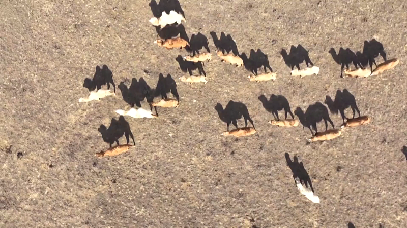 ????? ????? ?? ????????? ???? ???? ????? ???? ?????? ????? ??? ?????????