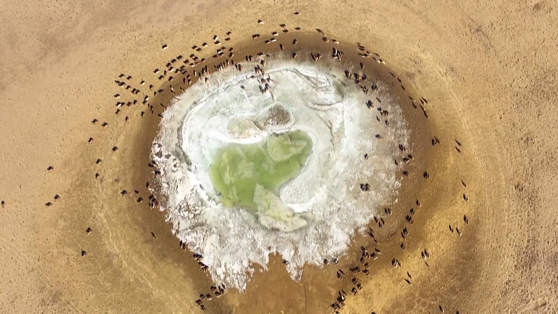 ????? ????? ?? ????????? ???? ???? ????? ???? ?????? ????? ??? ?????????