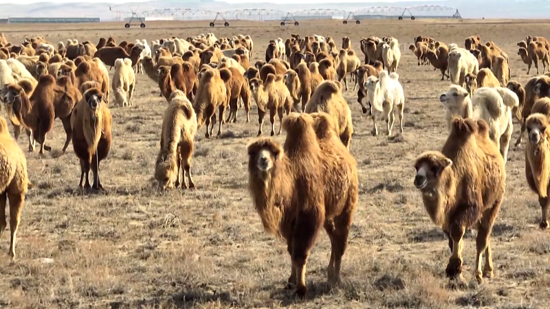 ????? ????? ?? ????????? ???? ???? ????? ???? ?????? ????? ??? ?????????