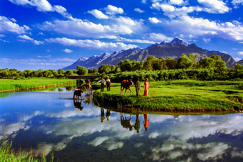 ???? ????? ????? ?? ???? ??????