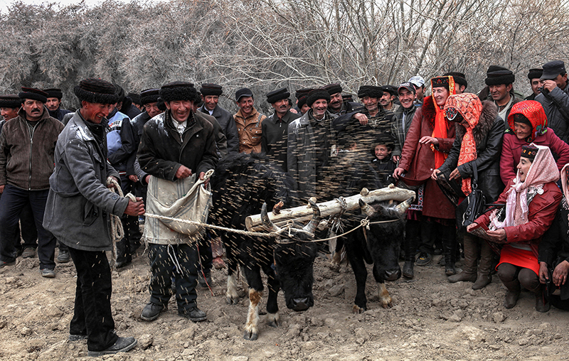 ???? ????? ????? ?? ???? ??????