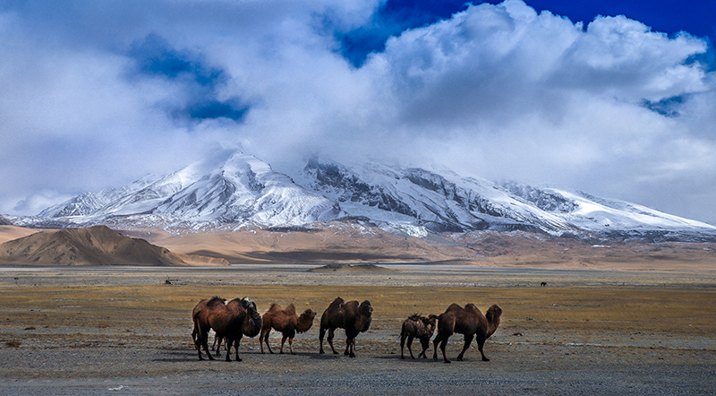 ???? ????? ????? ?? ???? ??????