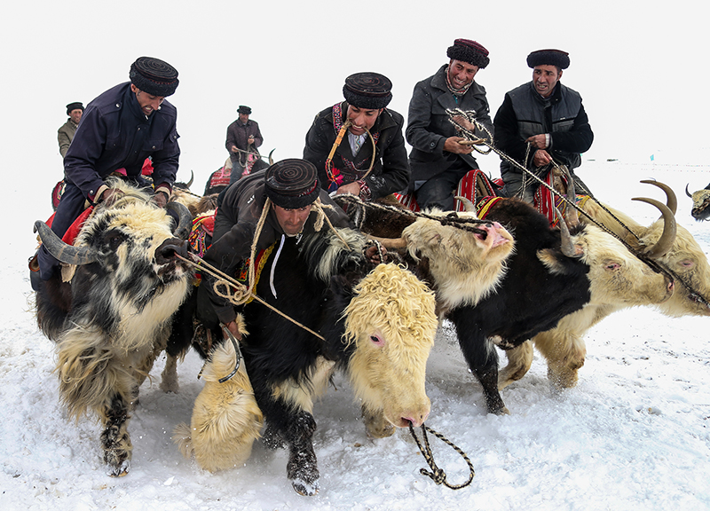 ???? ????? ????? ?? ???? ??????