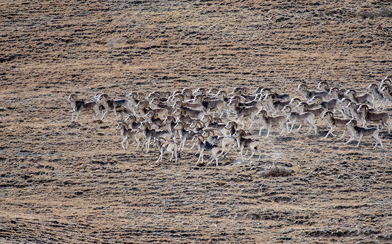 ???? ????? ????? ?? ???? ??????