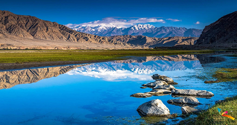 ???? ????? ????? ?? ???? ??????