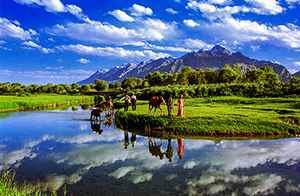 ???? ????? ????? ?? ???? ??????