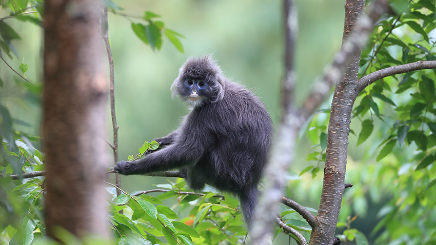 ??????: ???? ??? ???????? ????? ?????