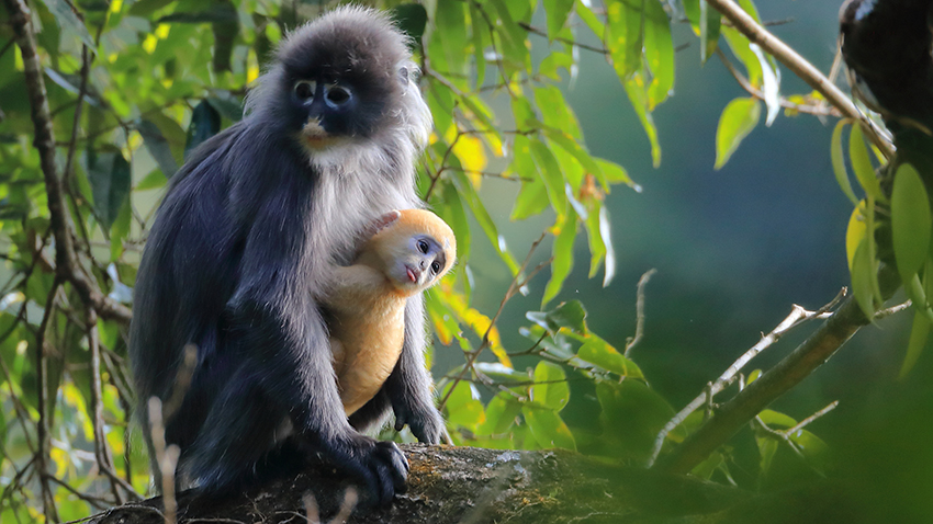 ??????: ???? ??? ???????? ????? ?????