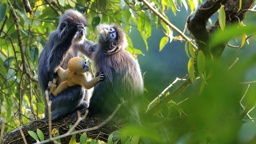 ??????: ???? ??? ???????? ????? ?????