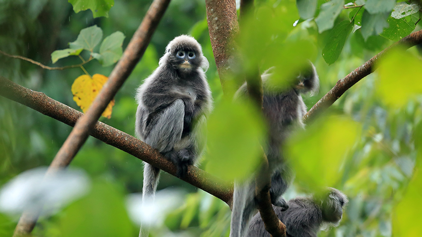 ??????: ???? ??? ???????? ????? ?????