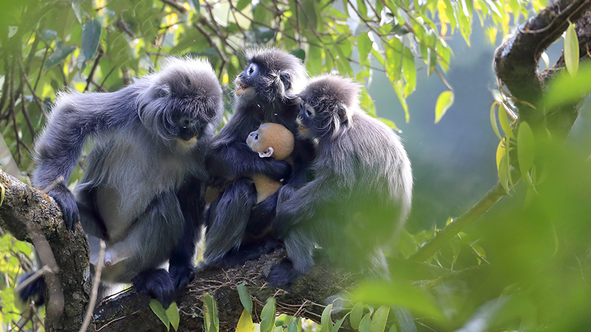 ??????: ???? ??? ???????? ????? ?????