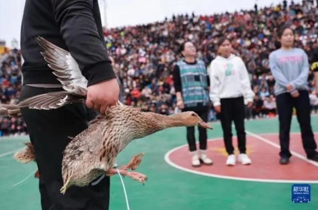 ???? ?? ?????? ???? ???? ????? ?? ??? ??????