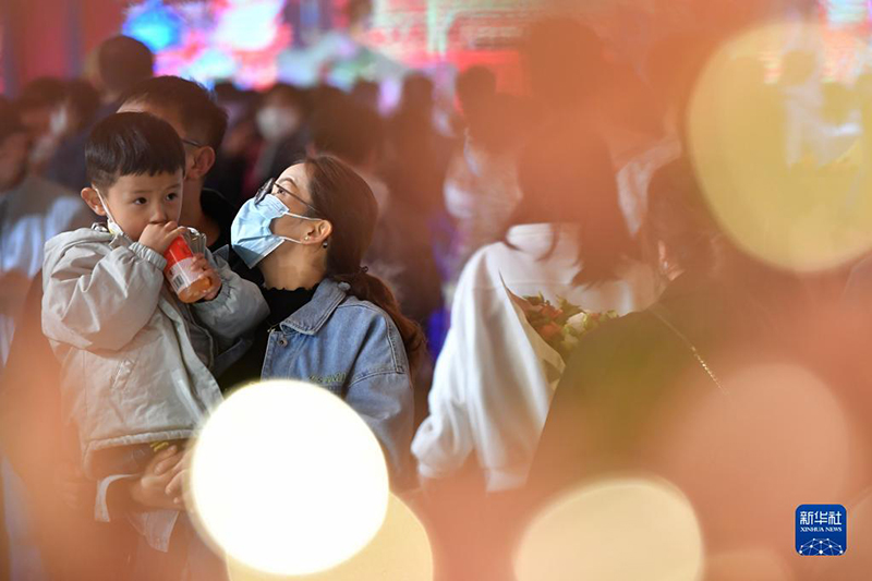 ???? ?????? ?????? ??????