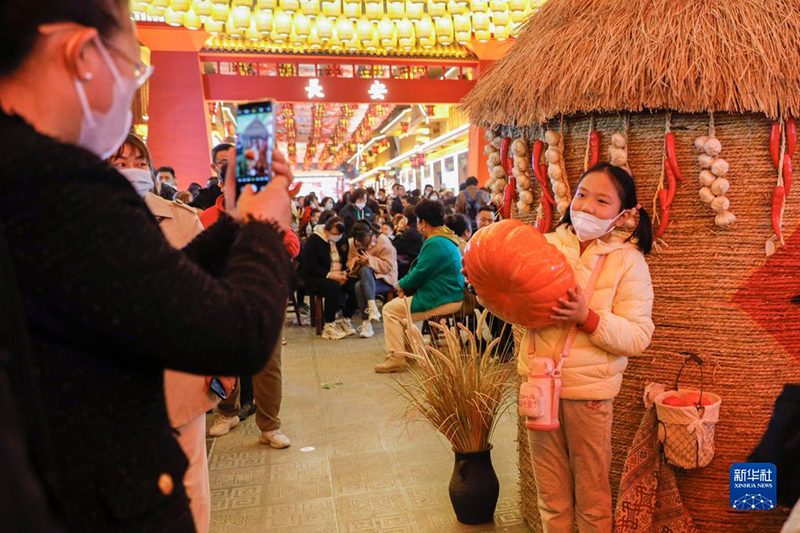 ???? ?????? ?????? ??????