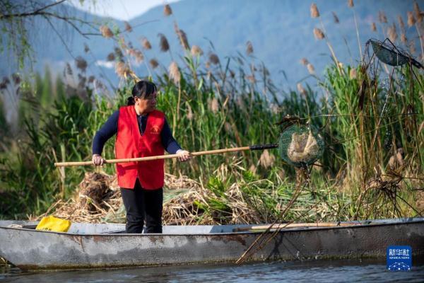 ???? ????? ????? ???? ????? ??????? ????? ?? ????? ????