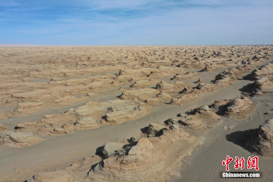 ????? ??????? ???????? .. ???? ??? ?????? ????? ??????? ?? ?????