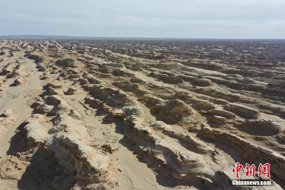 ????? ??????? ???????? .. ???? ??? ?????? ????? ??????? ?? ?????