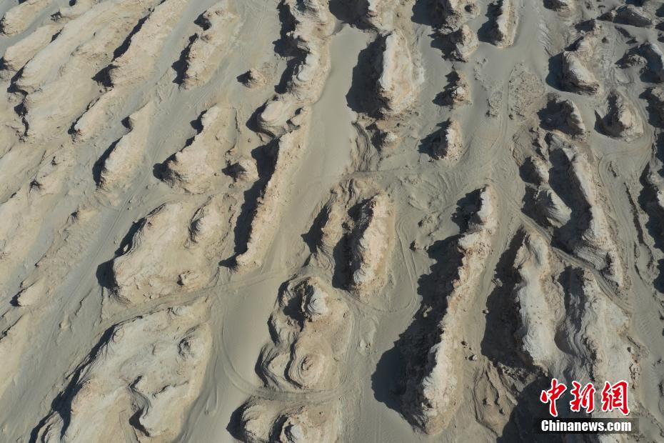 ????? ??????? ???????? .. ???? ??? ?????? ????? ??????? ?? ?????