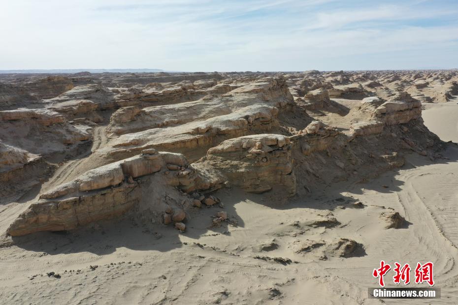 ????? ??????? ???????? .. ???? ??? ?????? ????? ??????? ?? ?????