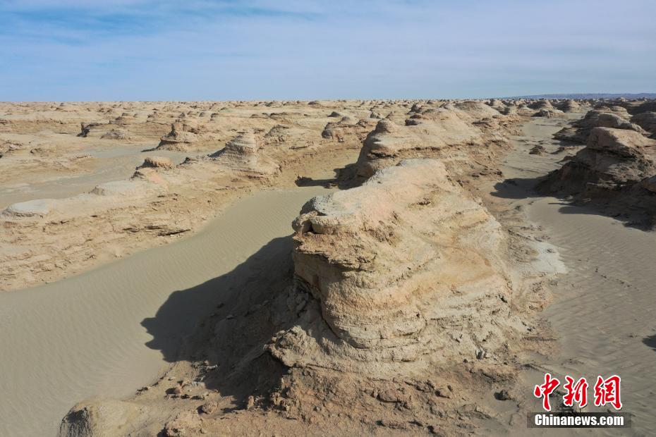 ????? ??????? ???????? .. ???? ??? ?????? ????? ??????? ?? ?????