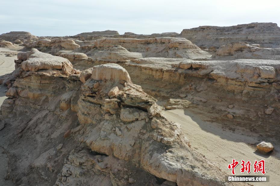 ????? ??????? ???????? .. ???? ??? ?????? ????? ??????? ?? ?????