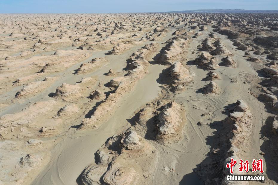 ????? ??????? ???????? .. ???? ??? ?????? ????? ??????? ?? ?????