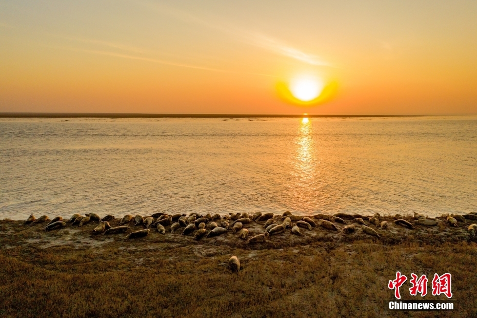 ???? ?? ??????? ????? ??? ????? ?????? ????????