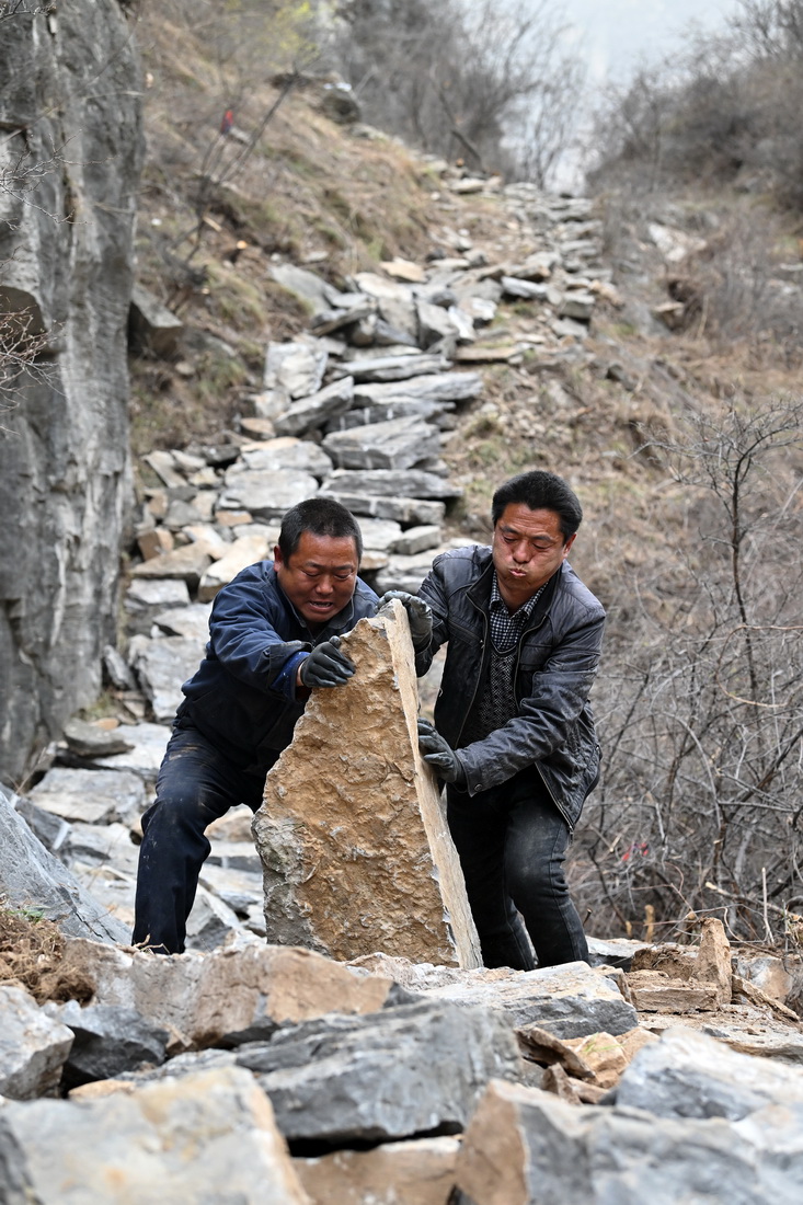 ???? ???? ????? ????? ???? ?? 700 ??? ?? ?? ???? ??????? ??? ??????