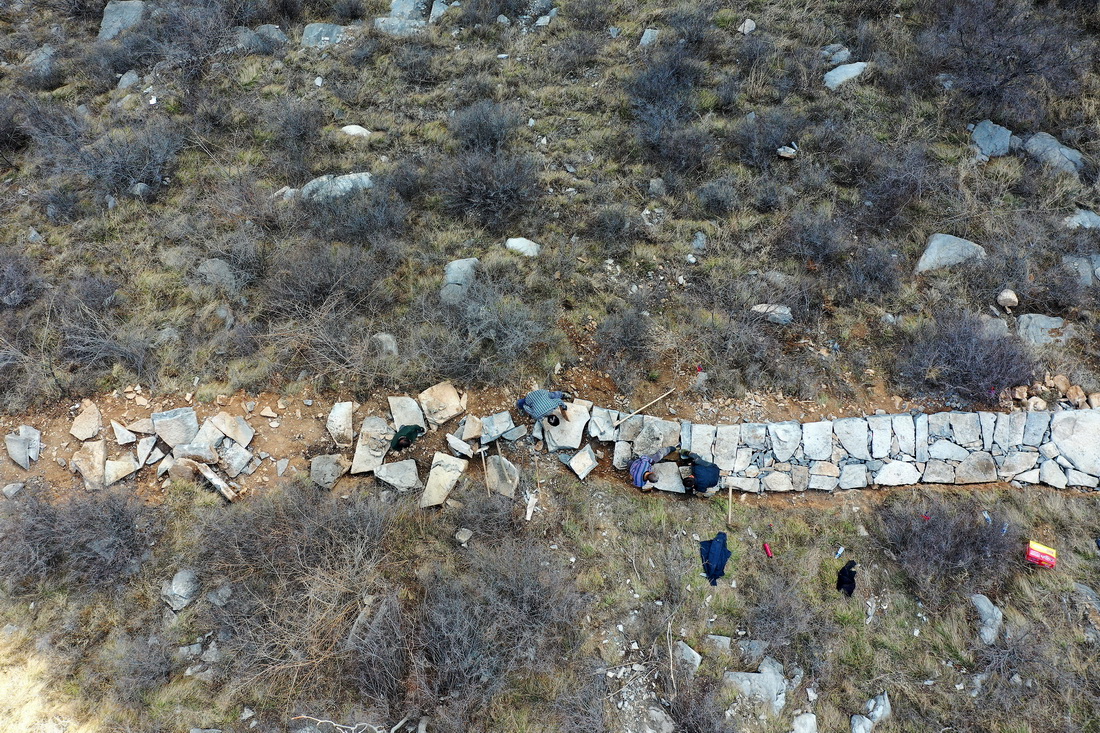 ???? ???? ????? ????? ???? ?? 700 ??? ?? ?? ???? ??????? ??? ??????