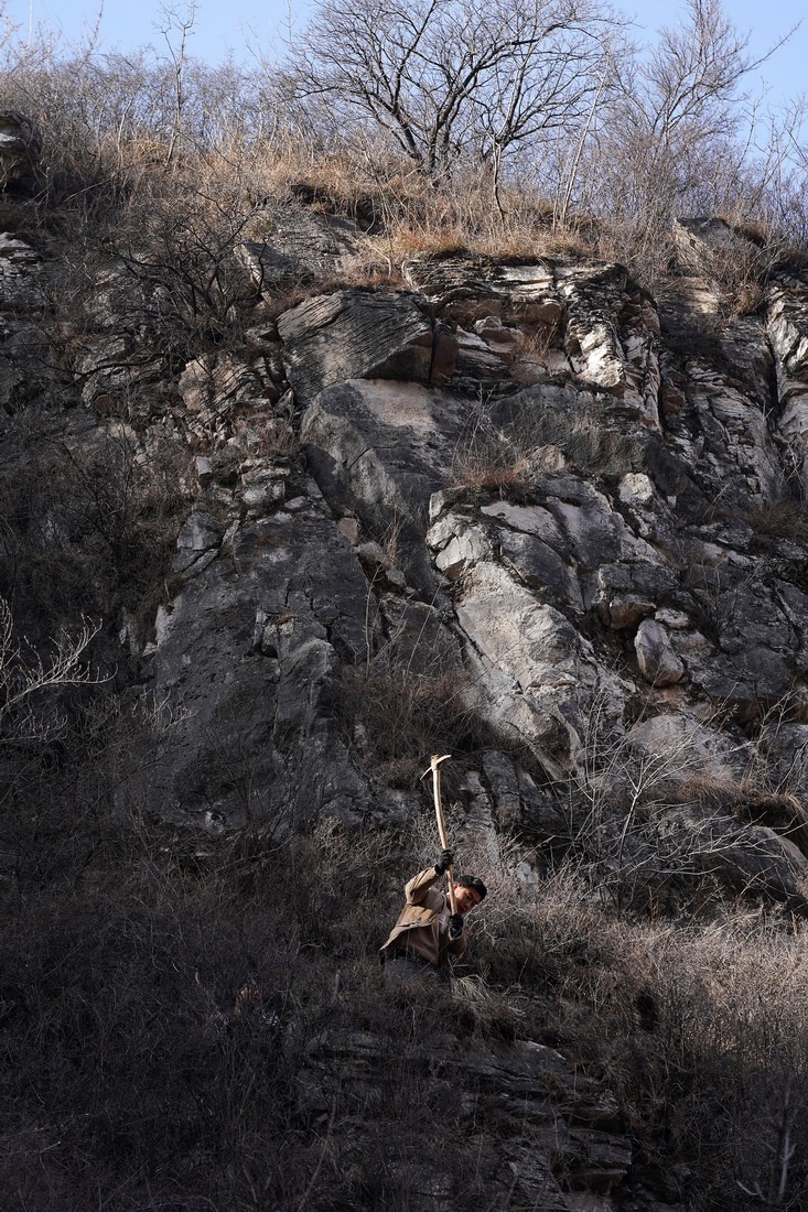 ???? ???? ????? ????? ???? ?? 700 ??? ?? ?? ???? ??????? ??? ??????