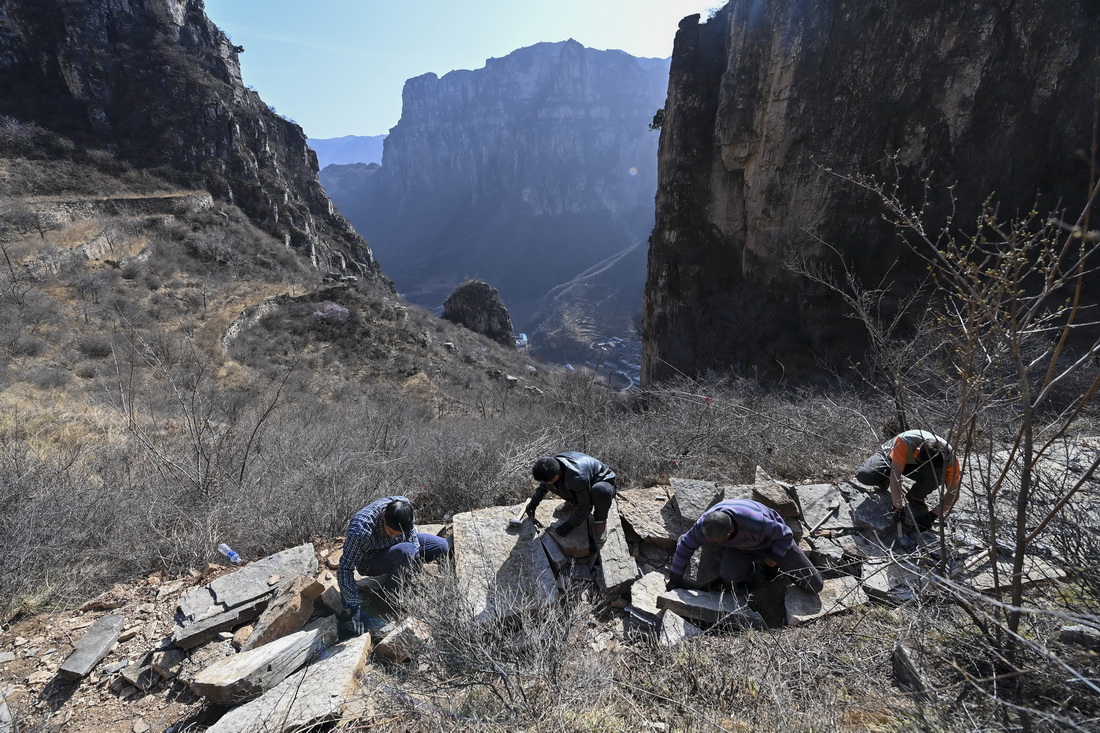 ???? ???? ????? ????? ???? ?? 700 ??? ?? ?? ???? ??????? ??? ??????