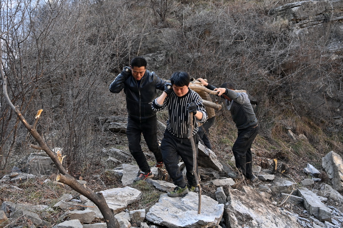 ???? ???? ????? ????? ???? ?? 700 ??? ?? ?? ???? ??????? ??? ??????