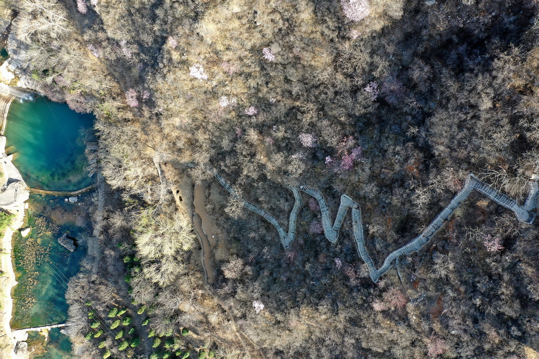 ???? ???? ????? ????? ???? ?? 700 ??? ?? ?? ???? ??????? ??? ??????