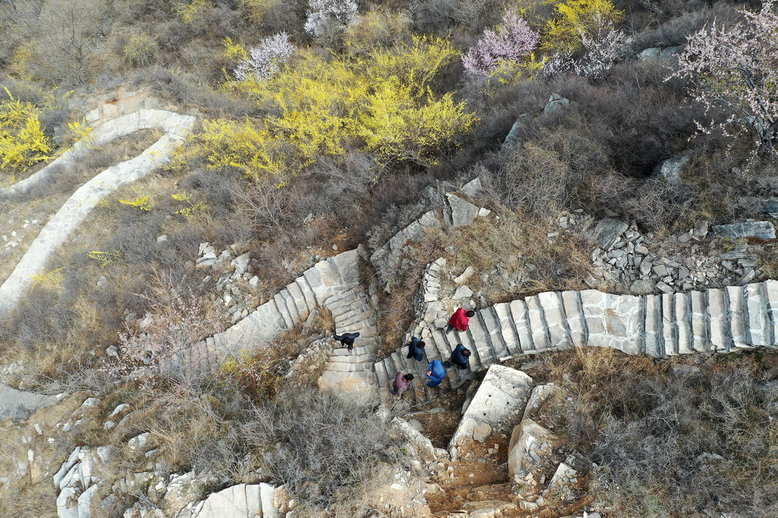 ???? ???? ????? ????? ???? ?? 700 ??? ?? ?? ???? ??????? ??? ??????