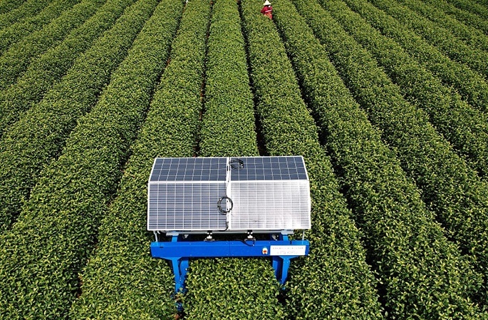 ????? ??? ?????? ?????? ??? ???? ???????