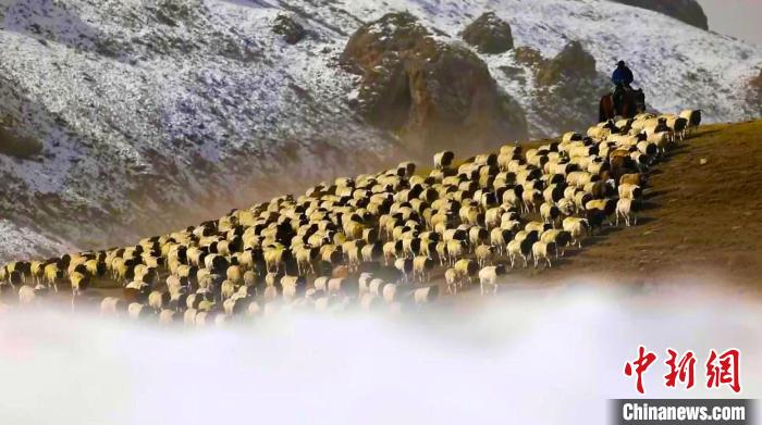 ?????? ?? ???????? ?????? ???? ??? ??? ??????? ??? ????????