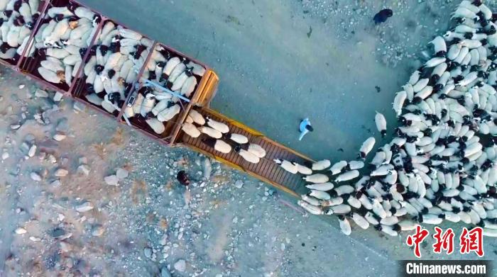 ?????? ?? ???????? ?????? ???? ??? ??? ??????? ??? ????????