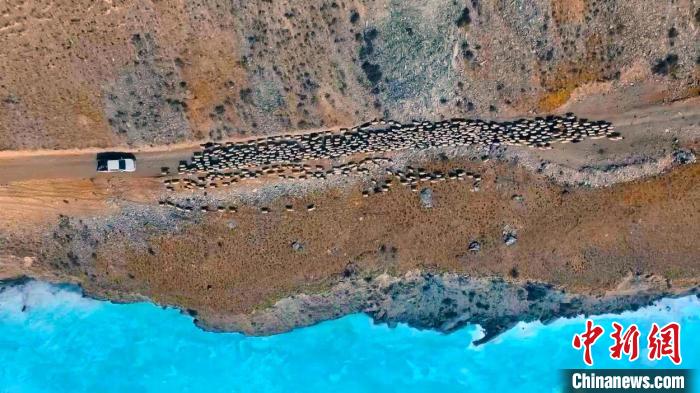 ?????? ?? ???????? ?????? ???? ??? ??? ??????? ??? ????????