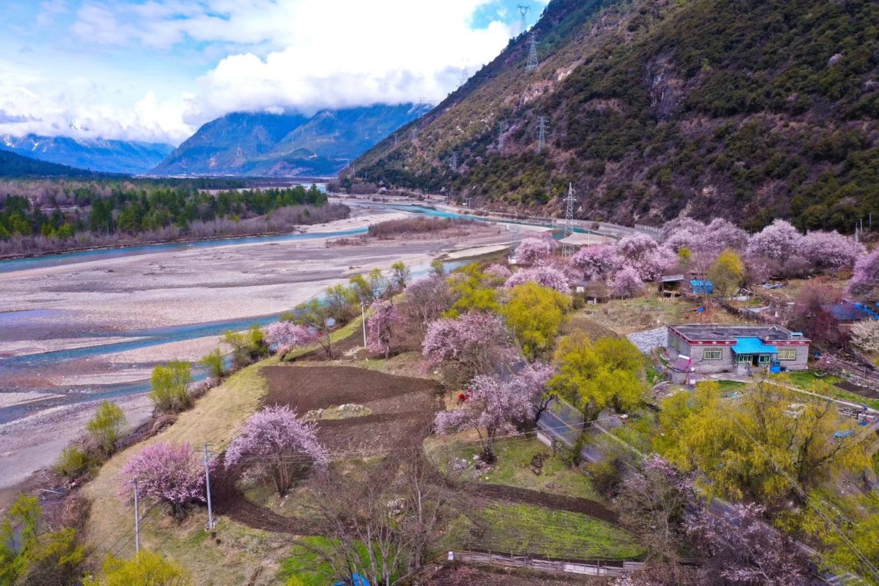 ?????? ???? ??? ????? ????? ?? ???? ??????