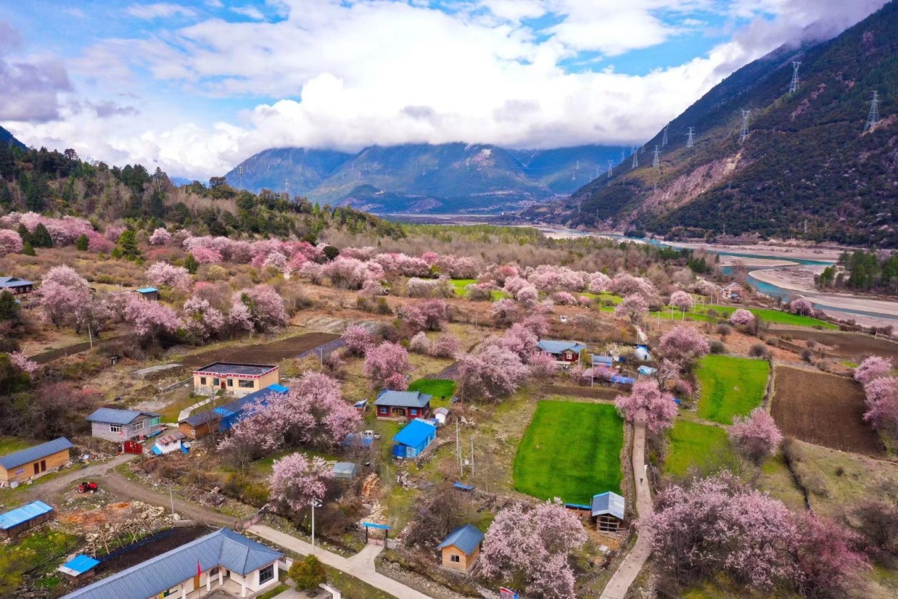 ?????? ???? ??? ????? ????? ?? ???? ??????