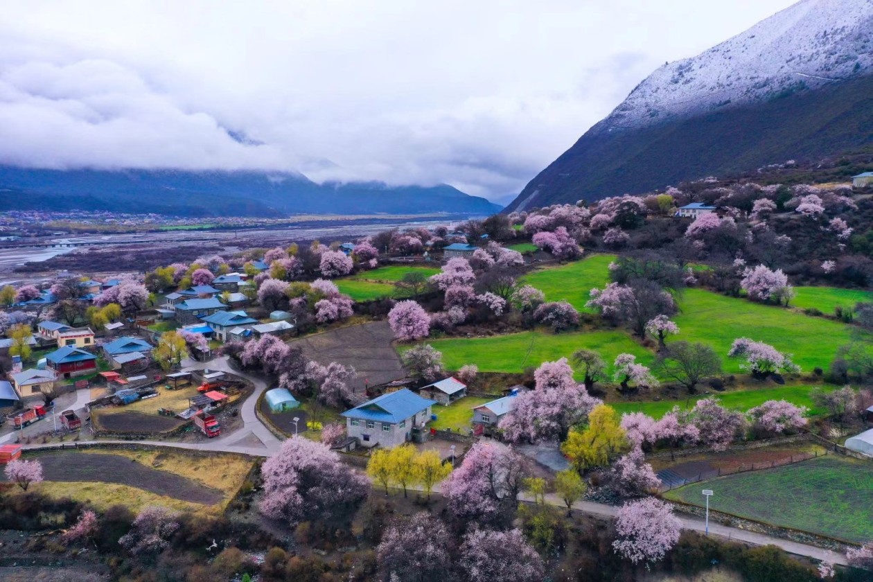 ?????? ???? ??? ????? ????? ?? ???? ??????