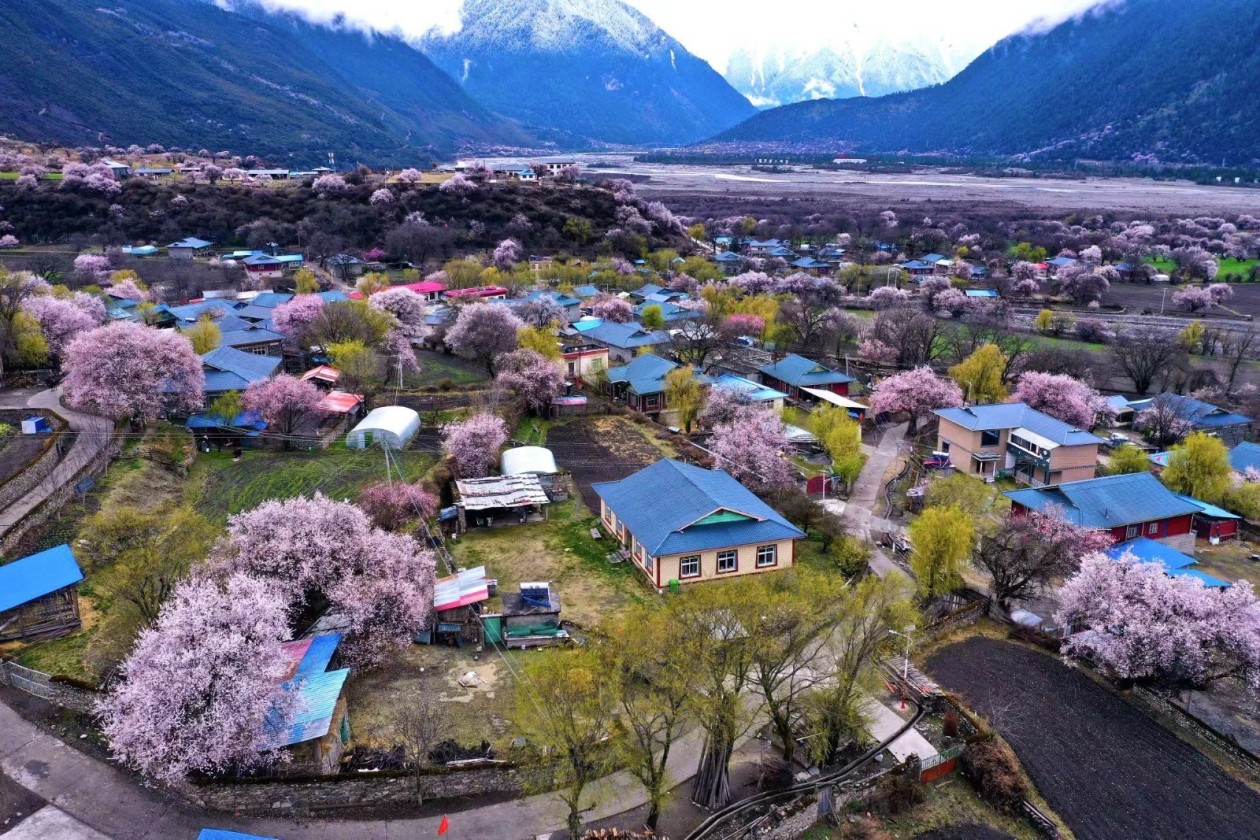 ?????? ???? ??? ????? ????? ?? ???? ??????