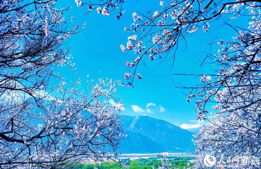 ?????? ???? ??? ????? ????? ?? ???? ??????