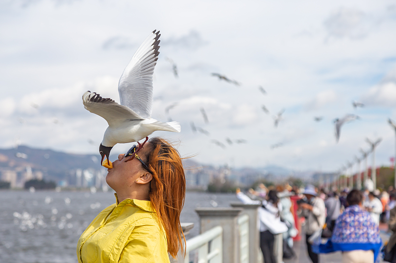 ????? ??????? ????? ???? ??????? ????? ??? ???????