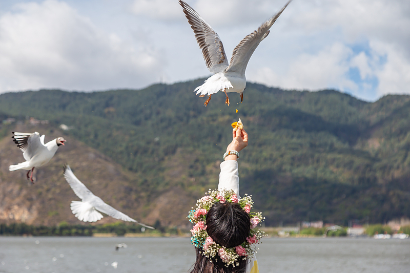 ????? ??????? ????? ???? ??????? ????? ??? ???????